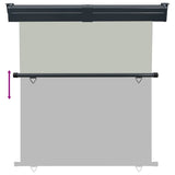 Balcony Side Awning 165x250 cm Grey 48434