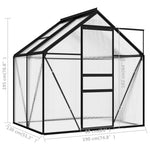 ZNTS Greenhouse Anthracite Aluminium 2.47 m² 312057