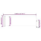 Patio Retractable Side Awning 80x300 cm Red 48363