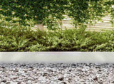 Lawn Edging Silver 450 x 0.05 x 20 cm Stainless Steel 868028