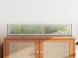 Aquarium with Storage Transparent 80 x 20 x 20 cm Glass 42020386