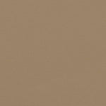 ZNTS Retractable Side Awning Taupe 200x500 cm 4004469