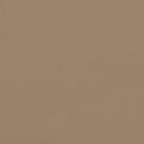 ZNTS Retractable Side Awning Taupe 200x500 cm 4004469