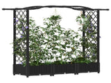 Raised Bed with Trellis and Roof Black 169 x 40 x 125 cm PP 42032528