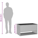 Outdoor Cushion Box Grey 100x55x55.5 cm Poly Rattan 4104143