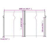 ZNTS Retractable Side Awning Beige 220x1000 cm 4004780