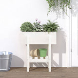 Garden Planter White 62x30x69 cm Solid Wood Pine 825234