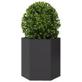 Garden Planter Black Hexagon 46x40x45 cm Steel 851108