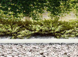 Lawn Edging 20 pcs White 100 x 0.05 x 15 cm Cold Rolled Steel 865923