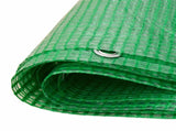 Tarpaulin with Eyelets Green 6 x 10 m 140 gsm PE 42039253