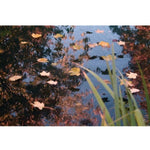 ZNTS Ubbink Pond Cover Net PE 10x6 m 1064527 407116