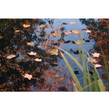 ZNTS Ubbink Pond Cover Net PE 10x6 m 1064527 407116