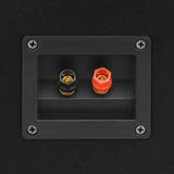Professional Passive Hifi Stage Speakers 2 pcs 1000 W Black 70102