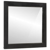 Bathroom Mirror 55x1x60 cm Glass and Solid Wood Mango 358567