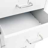 ZNTS Mobile File Cabinet White 28x41x109 cm Metal 335920