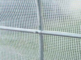 2.5 x 2 x 2 m Polytunnel Greenhouse, Walk-in Green House for Garden with Mesh Windows, Galvanised T3398P313649
