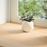 Window Sills 2 pcs Untreated 140x25x2 cm Solid Wood Oak 4009107