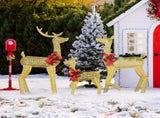 3-Piece Lighted Christmas Reindeer Family Set Outdoor Decorations, Weather Proof 2D Deer Family Set 50842289