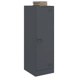 Sideboard Anthracite 34.5x39x107 cm Steel 841705