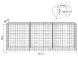 Gabion with 3.5 mm Wire and 10x10 cm Mesh 300x100x150 cm 3463416