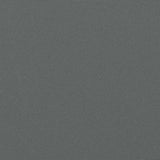 Retractable Side Awning Anthracite 160x600 cm 4004533