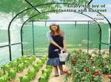 300 x 300cm Walk-In Polytunnel Greenhouse - Green T3398P317639