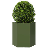 Garden Planter 2 pcs Olive Green Hexagon 46x40x45 cm Steel 851115