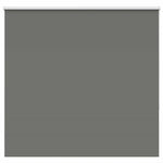 ZNTS Roller Blind Blackout Grey 155x130 cm Fabric Width 151.6 cm Polyester 4011113