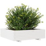 Garden Planter White 90x90x26.5 cm Solid Wood Pine 847314