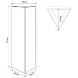 Garden Planter Black Triangular 30x26x75 cm Steel 851143