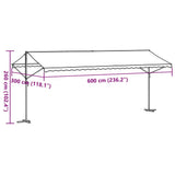 Free Standing Awning Blue and White 600x300 cm Fabric and Steel 368934