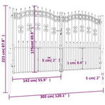 ZNTS Fence Gate with Spear Top Black 305x223 cm Powder-coated Steel 151098