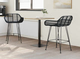 Bar Chair 2 pcs 55 x 52 x 105 cm Rattan and Iron 42011555