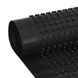 Dimpled Drainage Sheets 2 pcs HDPE 400 g/m 0.5x20 m 144947