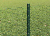 Welded Wire Fence 50 x 0.8 m PVC-Coated Steel Green 3336750