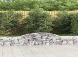 Arched Gabion Baskets 2 pcs 300x30x40/60 cm Galvanised Iron 3146467