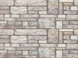 Wall Panels 10 pcs Grey 100 x 50 cm EPS Foam 332929