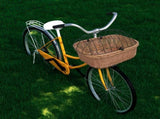 Bike Front Basket with Cover 50x45x35 cm Natural Willow 170902