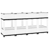 Raised Bed 160x40x71 cm Polypropylene 153315