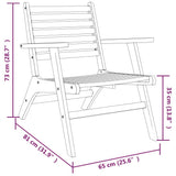 Garden Chair Brown Solid acacia wood Standard Durable 316252