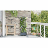 Garden Planter LiGht Grey 40 x 40 x 126 cm Plastic 42002894