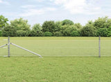 Welded Wire Fence with Spikes 50 x 0.4 m 3353396
