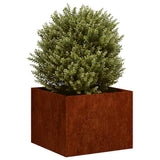 Planter Rusty 40x40x30 cm Weathering Steel 860800