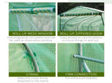 Polytunnel Greenhouse with Windows and Door, Walk in Greenhouse for Garden, Backyard T3398P310873