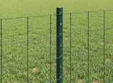 Welded Wire Fence 10 x 0.6 m PVC-Coated Steel Green 3335989