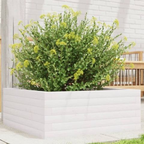 ZNTS Garden Planter White 60x60x23 cm Solid Wood Pine 847189