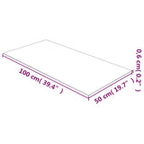 Table Top Transparent 50x100 cm Tempered Glass 345074