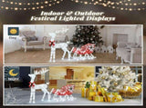 4ft Lighted Christmas Reindeer & Sleigh Outdoor Yard Decoration Set with LED Lights, Red & White 74771005