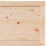 Barn Door Natural 100 x 2.5 x 208 cm Solid Pine Wood 42047135