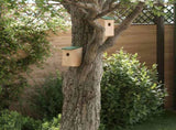 Bird House Set of 10 Wood Solid Firwood Small Hanging mounting 314815